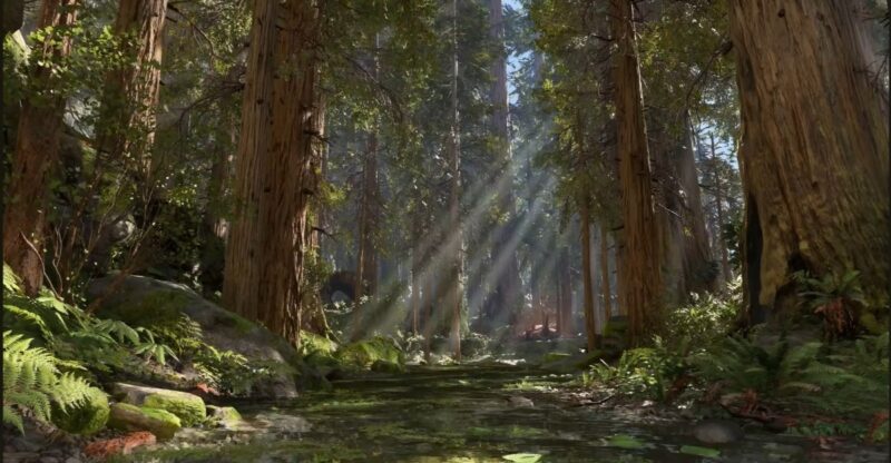 This California Redwood Grove Looks Like Another Planet And Star Wars Actually Filmed Here