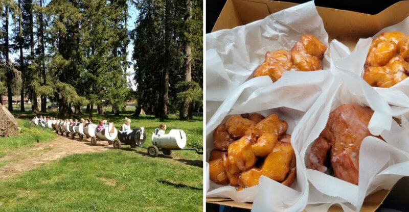 This Washington Cider Mill Makes Apple Fritters And Has Goats Waiting Outside