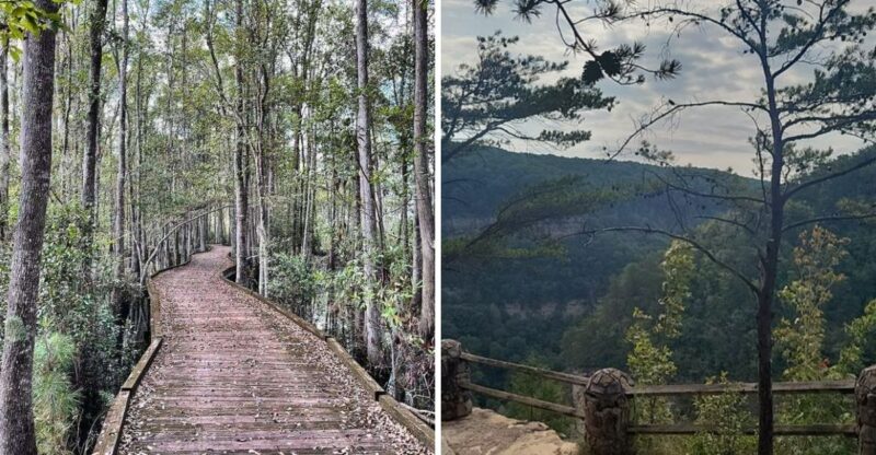 10 Georgia Hiking Trails Where Hikers Should Stay Snake-Aware