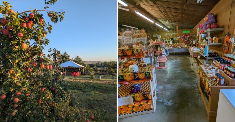 6 Nebraska Farms Where Fall Apple Picking Runs Right Through The End Of October