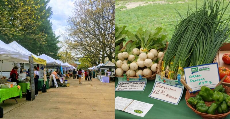 9 Connecticut Farmers Markets Brimming With Harvest Foods And Happy Crowds