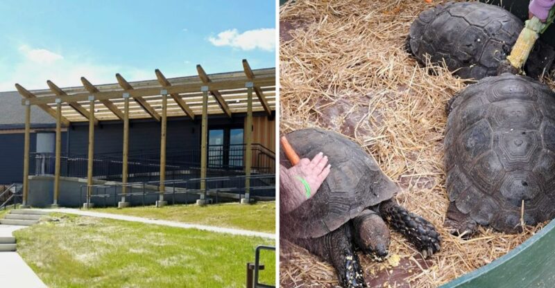 This Free Maryland Museum Is Packed With Fascinating Natural History Treasures