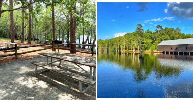 This Georgia State Park Has Quiet Trails And All The Stunning Views