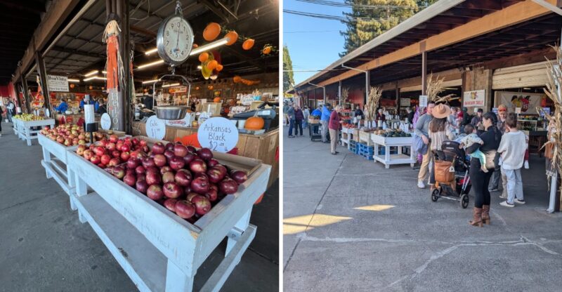 This California Orchard Turns Into A Fall Playground With Pumpkins, Apple Donuts And Fresh Cider