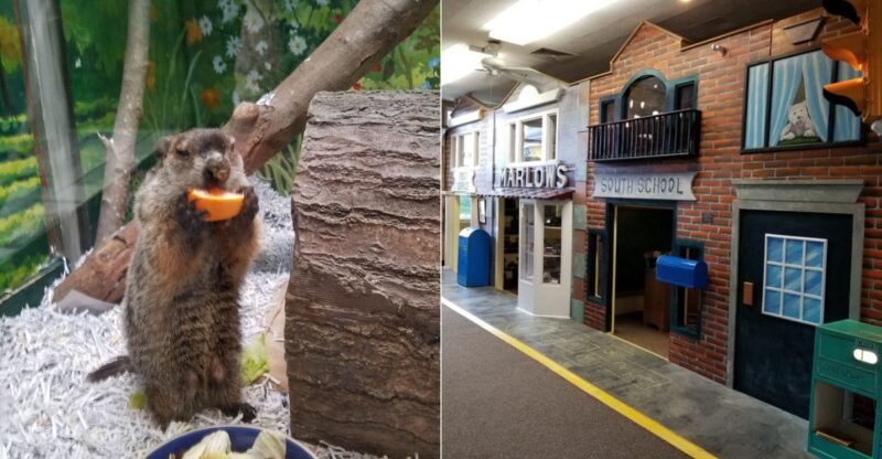 This Connecticut Museum Turns Learning Into A Hands-On Adventure With Amazing Animals