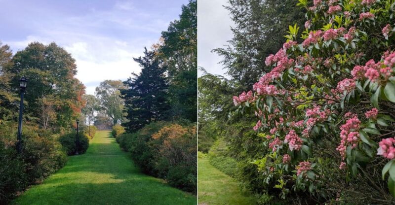 This Gorgeous Connecticut Botanical Paradise Spans 750 Acres And Is Completely Free To Visit