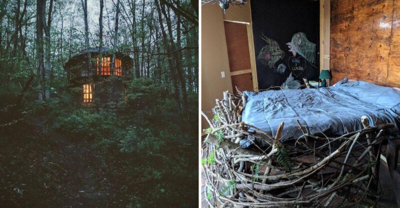 This Indiana Treehouse Retreat Lets You Sleep 30 Feet High In The Forest Canopy