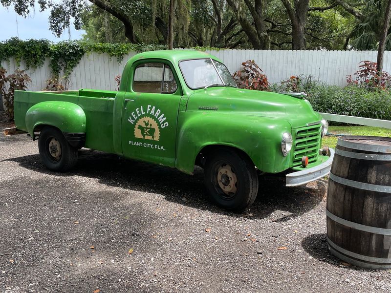Wagon Loads Of Pumpkins And Rows Of Berries At This Family-Owned Florida Farm