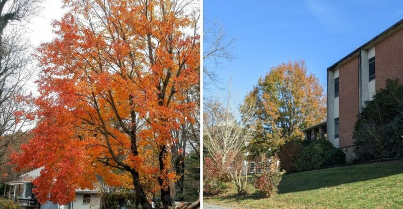 The Charming Georgia Towns You Should Visit For Early Fall Colors