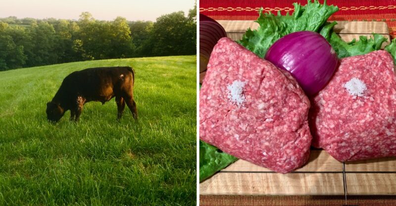 9 Kentucky Farms Where You Can Buy Beef Straight From The Cattle They Raise