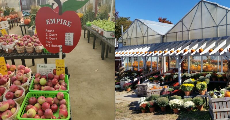 You Go To This Connecticut Farm For Apples And Leave With A Car Full Of Local Goods