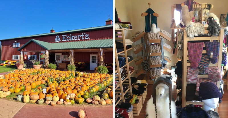 10 Kentucky Farms Where You Can Meet The Animals And Take Something Home