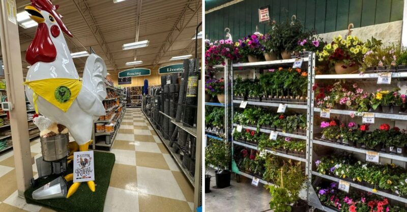 The Huge Eastern Washington Country Store Where You Can Spend An Entire Afternoon