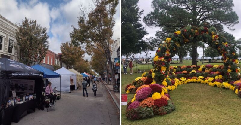 This Long-Running North Carolina Festival Covers Downtown In Thousands Of Blooming Chrysanthemums