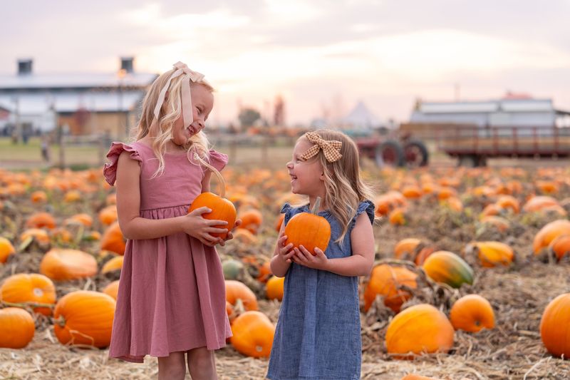 Pick Your Own Pumpkins And Ride Through The Fields At This Idaho Working Ranch