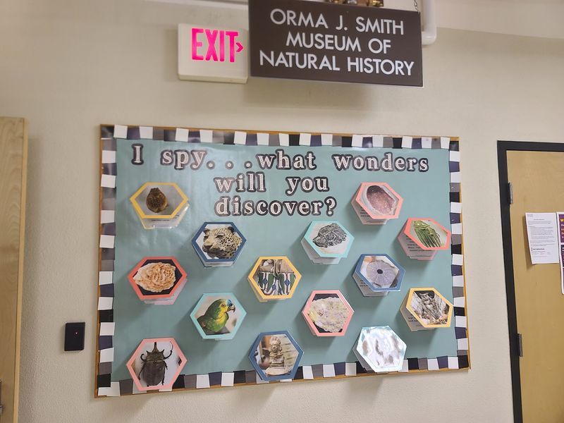 This Free Idaho Museum Is Packed With Fossils, Gemstones And Touch Zones Kids Never Forget