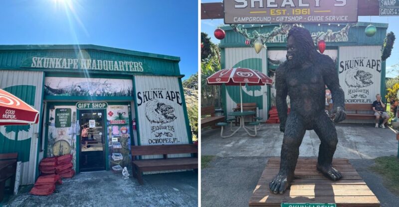 Deep in the Florida Everglades, A Roadside Shack Tracks A Legend Nobody Has Proven