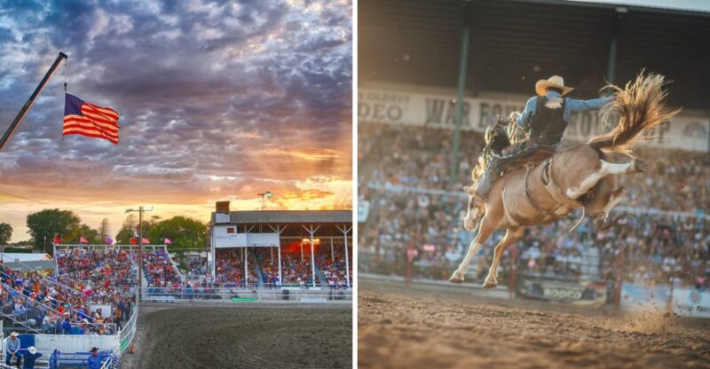 10 Idaho Rodeos So Wild They’re Worth Planning A Road Trip Around
