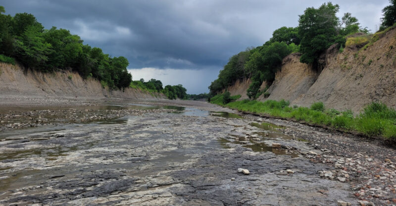 You Can Take Home Cretaceous-Era Fossils From This Texas Park, And It’s 100% Free