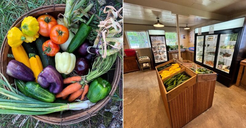 This Connecticut Farm Stand Has Been Growing Fresh Food For Local Families For More Than 100 Years