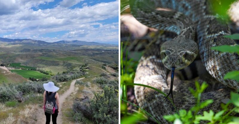 10 Idaho Hiking Trails Locals Avoid In September Because The Rattlesnakes Are Too Active