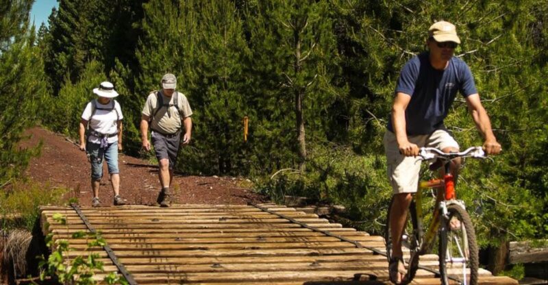 Ride An Old Railroad Route Through Northern California With Mount Shasta Views And Miles Of Forest