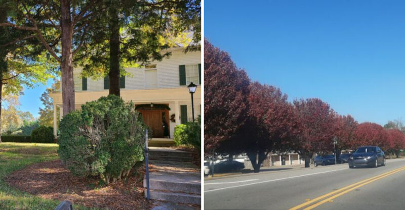 This Small Georgia Town Caught NASA’s Attention And Almost Nobody Knows Why