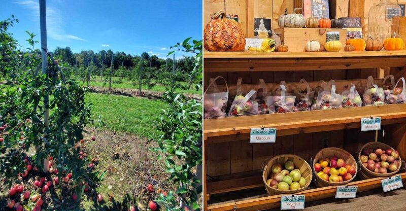 This Connecticut Cider Mill Has Endless Apple Donuts And A Loyal Local Following