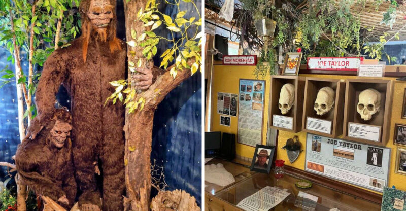 This Nebraska Museum Is Dedicated To Bigfoot And Everything Mysterious