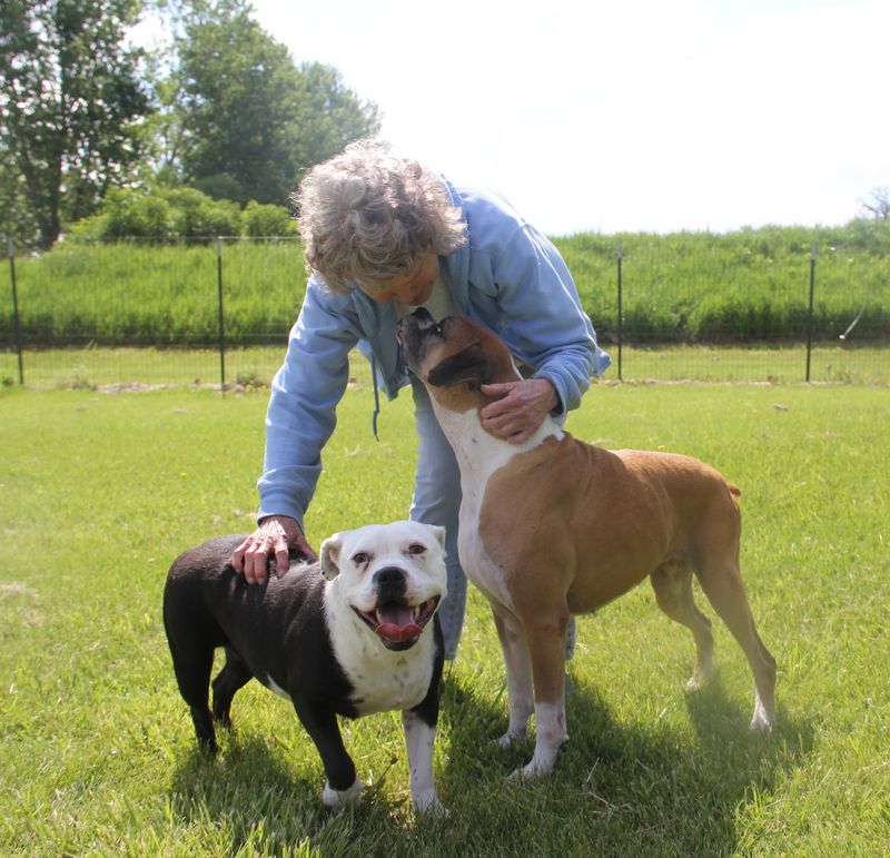 This Nebraska Sanctuary Gives Hundreds of Rescued Dogs the Run of the Place, With No Cages Anywhere