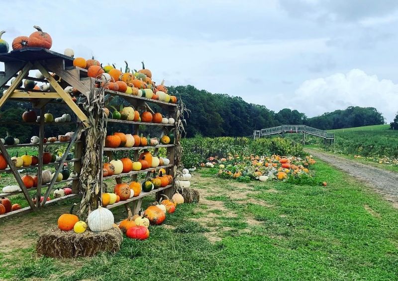 Ramsey's Farm, Wilmington