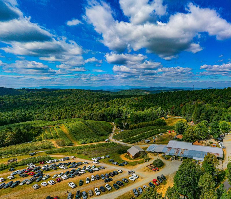Sky Top Orchard