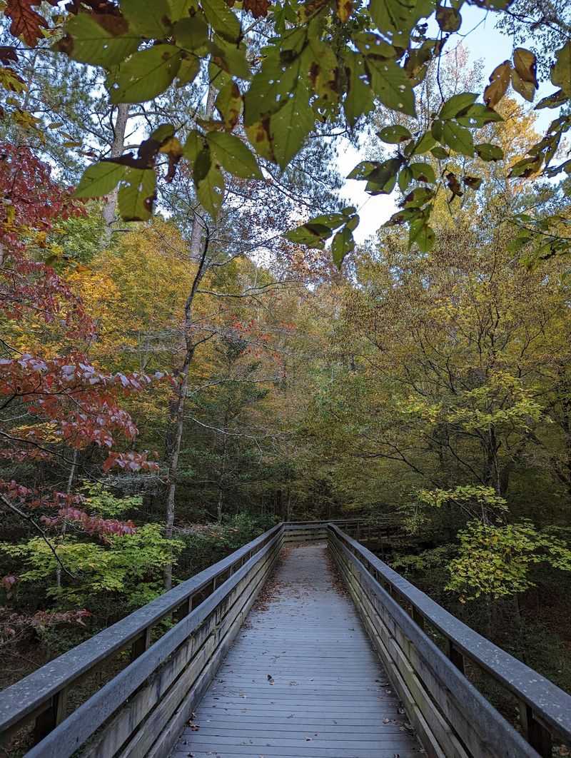 Raven Rock Loop Trail, Lillington