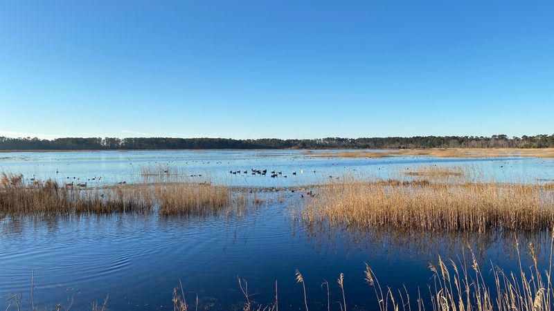 Mattamuskeet National Wildlife Refuge