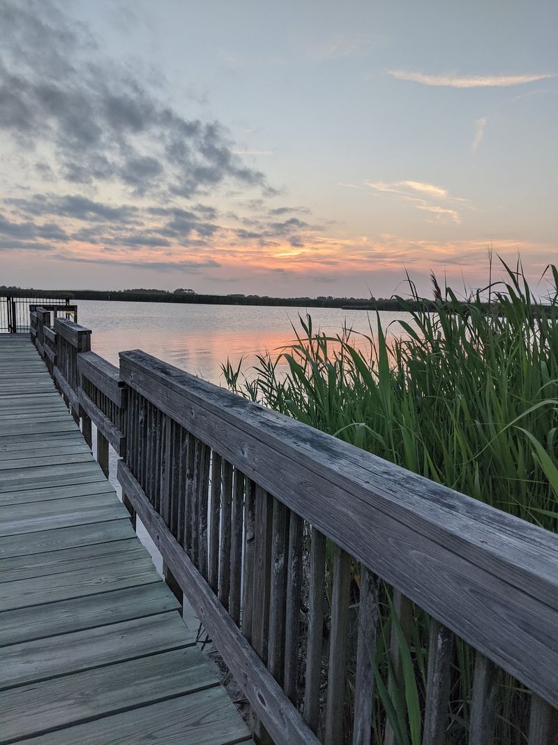 10 Virginia Bird Sanctuaries Where A Quiet Morning Can Turn Into Something Unforgettable - Decor Hint Back Bay National Wildlife Refuge, Virginia Beach