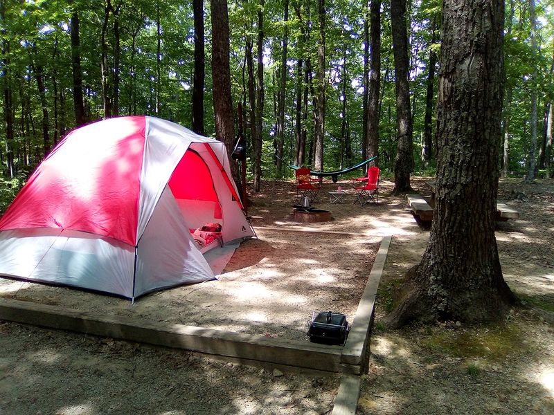 S-Tree Campground