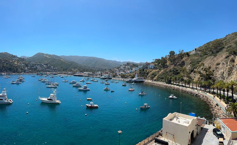 12 Things Not To Do On Catalina Island In California If You Want To Avoid Rookie Mistakes - Decor Hint Don't Assume You Can Bring A Car Over And Drive Around Normally