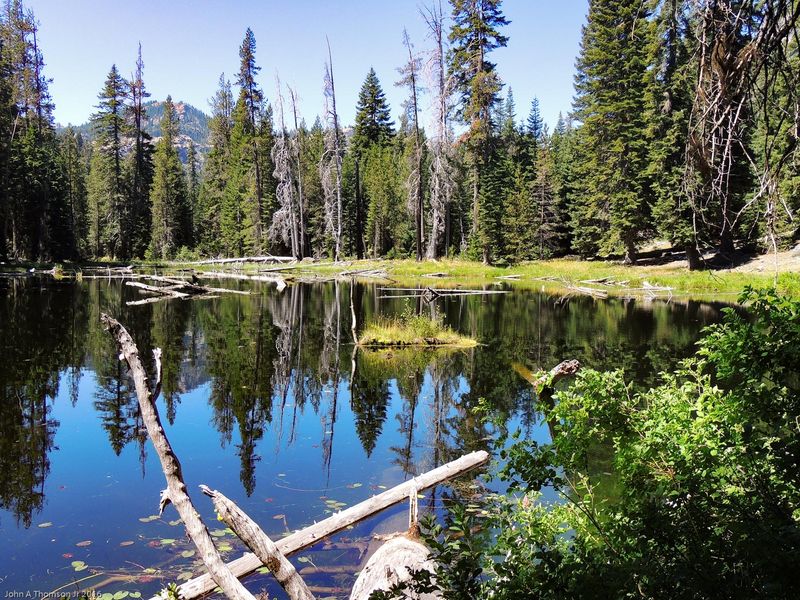 13 California Counties Where Deer Are On The Move During Fall Mating Season - Decor Hint Siskiyou County: Shasta's Shadow And Wandering Bucks