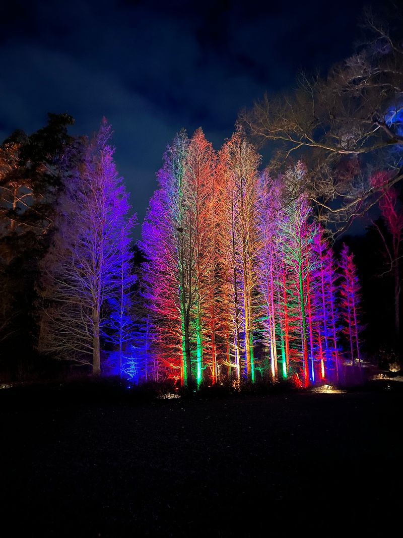 4 Magical Christmas Light Displays In Pennsylvania Worth The Winter Drive - Decor Hint Longwood Gardens