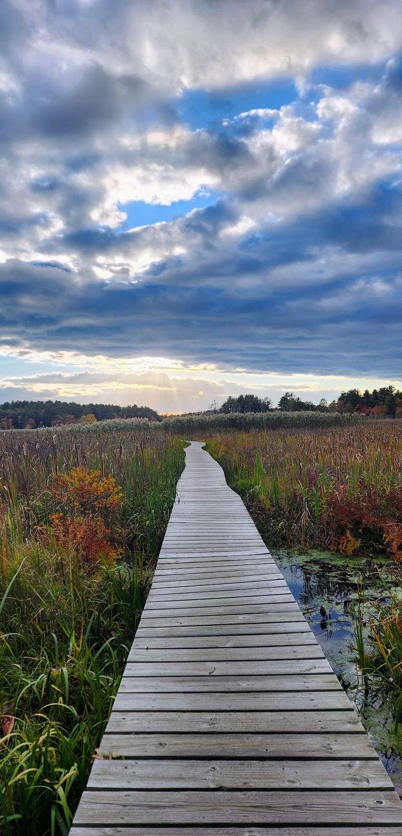 Little Pond Boardwalk Trail, Litchfield