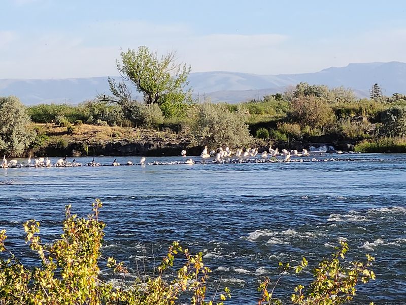 Minidoka National Wildlife Refuge In Rupert