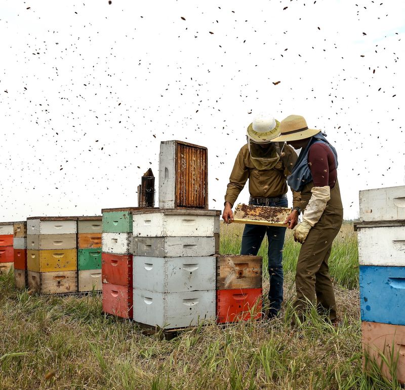 Fat Head Honey Farms