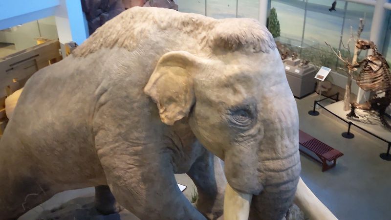 Grown-Ups Get The Museum After Dark