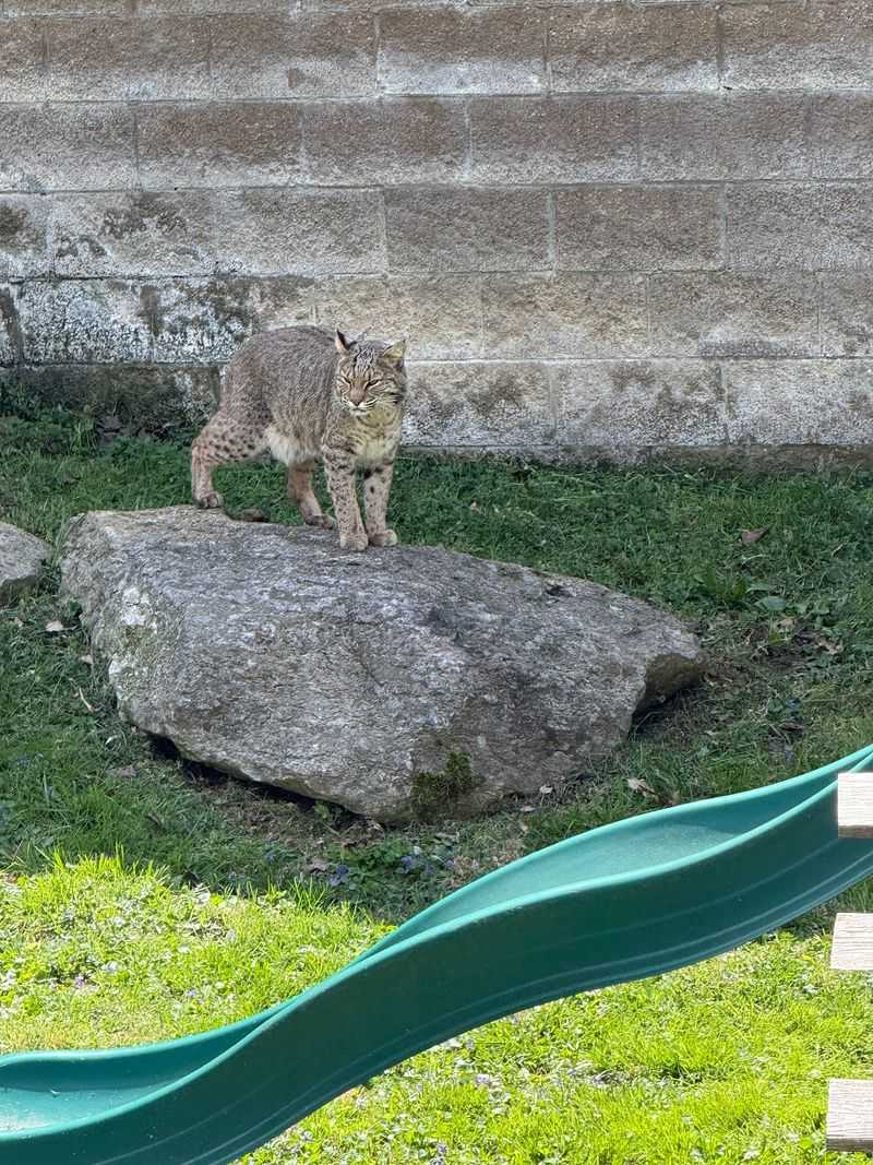 Salato Wildlife Education Center