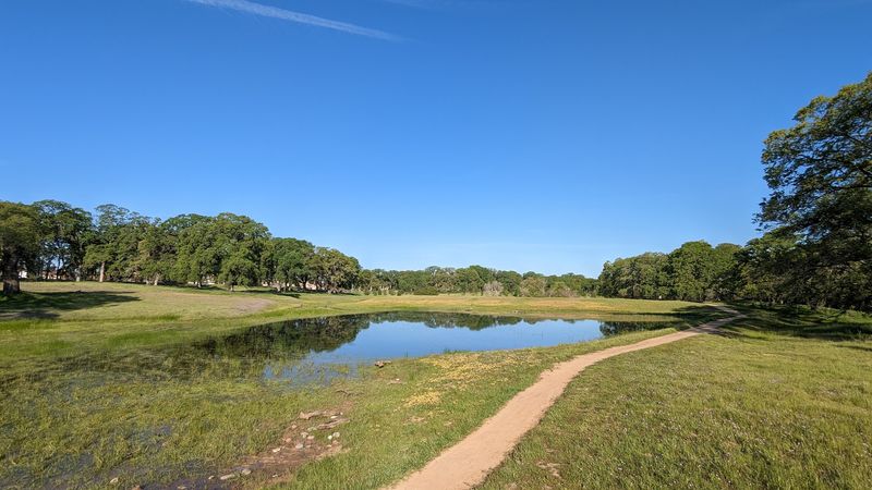 Over 100 Miles Of Trails To Explore