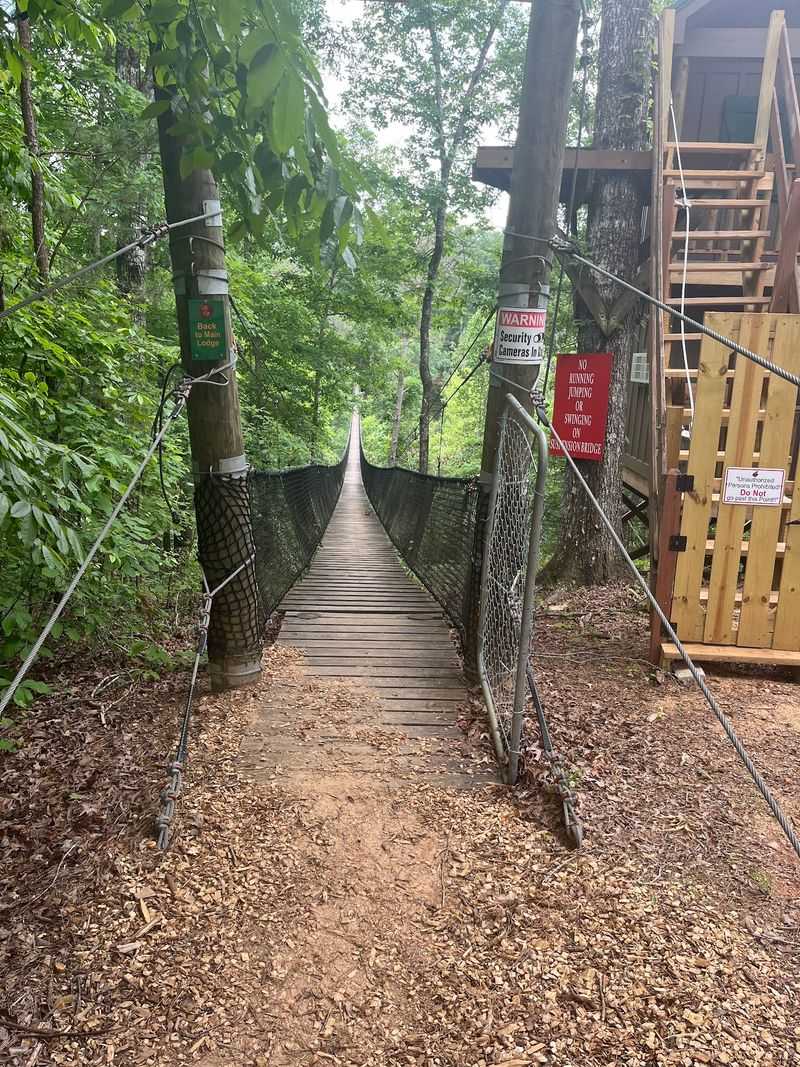 Fun For Little Daredevils Too