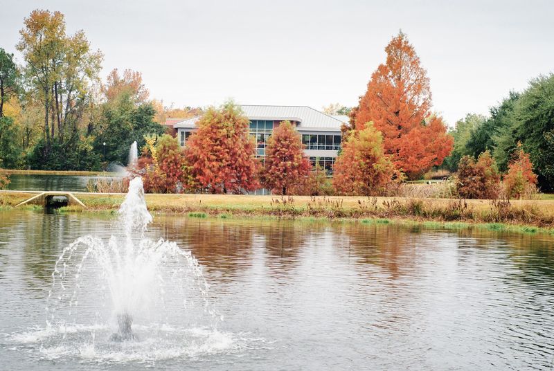 Engineering Students Are Building More Than Bridges Here