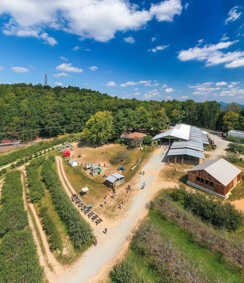 This North Carolina Apple Orchard Was Just Voted One Of The Best In America - Decor Hint Goats, Sheep And Chickens Add Another Stop Beyond The Apple Trees