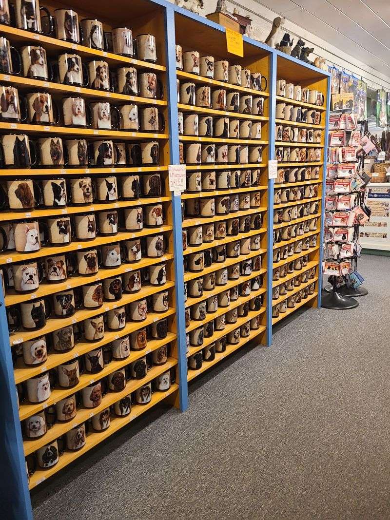 Cat And Dog Lovers Will Feel Right At Home In This Connecticut Gift Shop Filled With Adorable Finds - Decor Hint Your Exact Breed Is Probably On A Mug Here