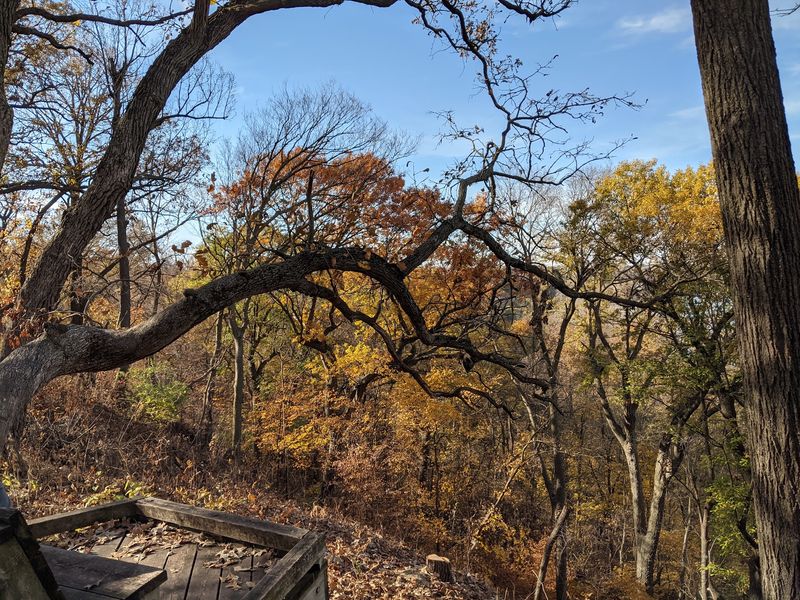 Miles of Trails for Hikers Who Want More